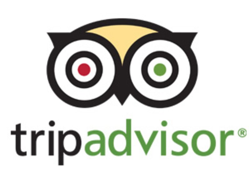 TripAdvisor’s year-end report reveals profit and revenue growth