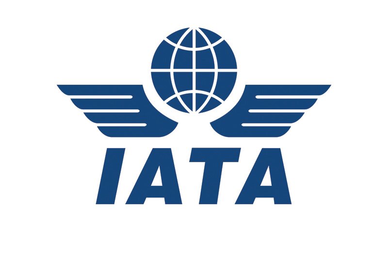 Iata and European agents’ group trade blows over impact of NDC