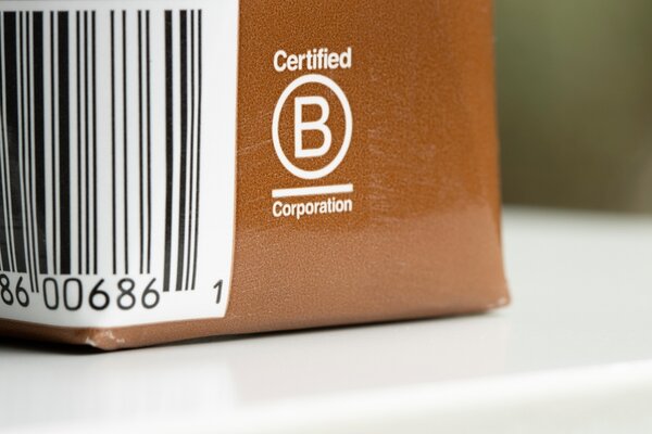 Ecosy Travel Ltd becomes a Certified B Corporation