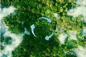 Founder of Sustainable Travel Technologies start-up recognised