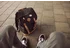 Millennial-Gen Z business travellers confident in AI’s potential for improved experiences
