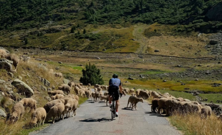 ‘Peak Creeping’ and Athleisure tourism make Byway’s trends list